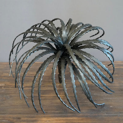 Dyckia Iron Sculpture #UDN10B