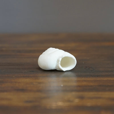 Porcelain Snail Shell #NK118A