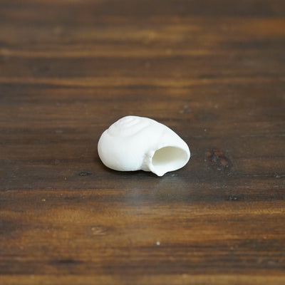 Porcelain Snail Shell #NK118A