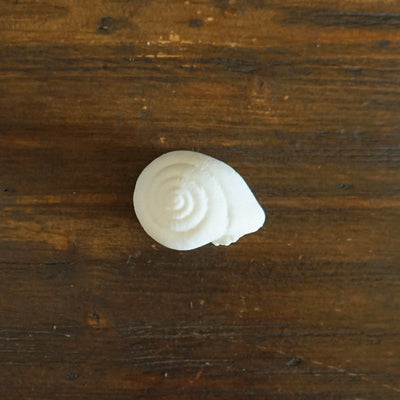 Porcelain Snail Shell #NK118A