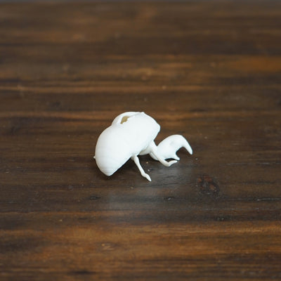 Porcelain Cicada #NK114A