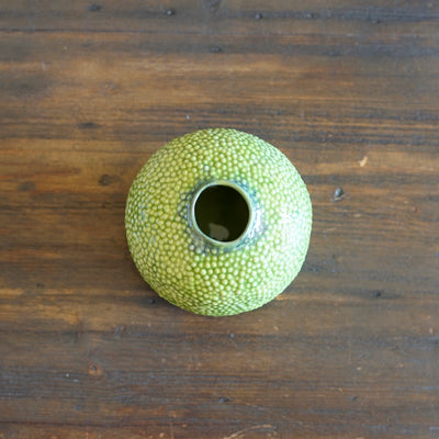 Lime Caviar Bud Vase #LK817C