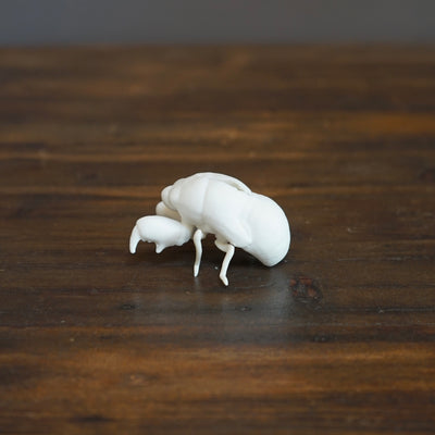 Porcelain Cicada #NK114B